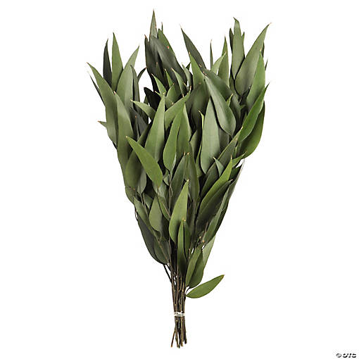 Vickerman 18" Green Weeping Willow Eucalyptus Foliage, 5 oz Bundle, Preserved
