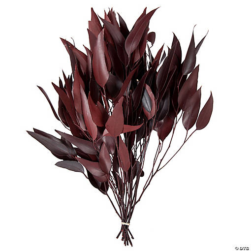 Vickerman 18" Red Weeping Willow Eucalyptus Foliage, 5 oz Bundle, Preserved