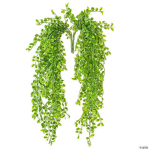 Vickerman 31" Artificial Green Mini Leaf Hanging Bush - 2/pk