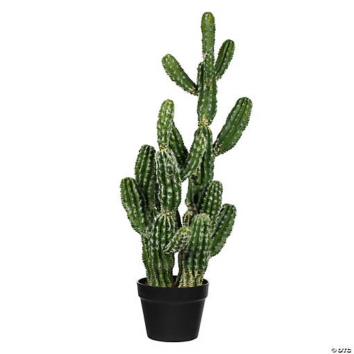 Vickerman 31" Artificial Green Potted Cactus