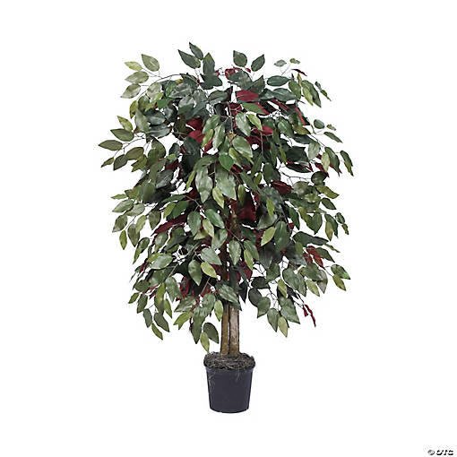 Vickerman 4' Artificial Capensia Bush, Black Plastic Pot.