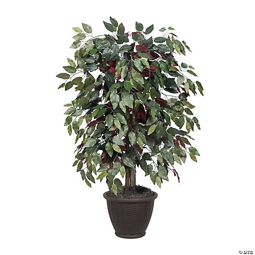 Vickerman 4' Artificial Capensia Bush, Brown Plastic Container