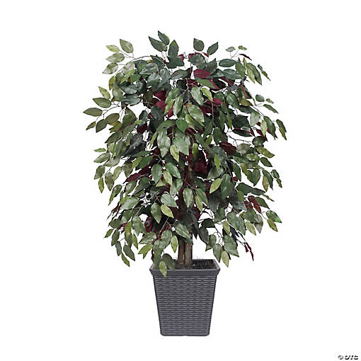 Vickerman 4' Artificial Capensia Bush, Gray Square Plastic Container