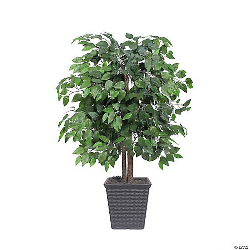 Vickerman 4' Artificial Ficus Bush, Gray Square Plastic Container