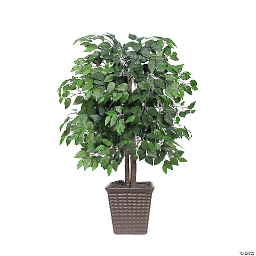 Vickerman 4' Artificial Ficus Bush, Square Brown Plastic Container