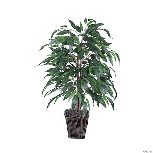Vickerman 4' Artificial Mango Bush, Square Willow Basket