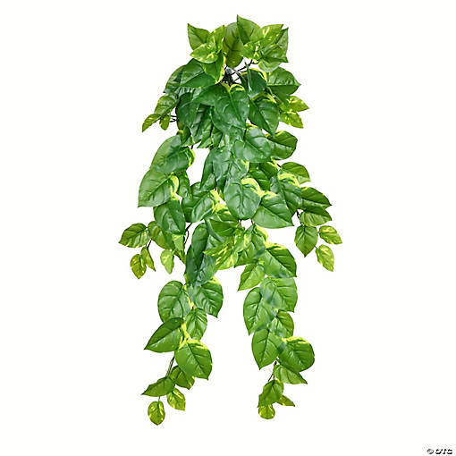 Vickerman 40" Artificial Pothos Hanging Bush