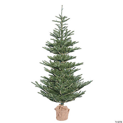 Vickerman 5' Alberta Spruce Artificial Christmas Tree, Unlit