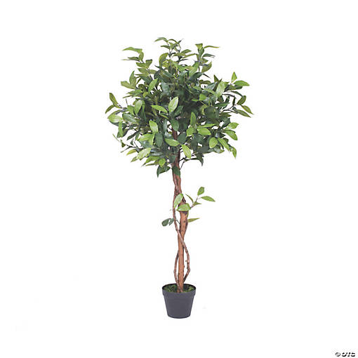 Vickerman 50" Artificial Camellia Tree in Pot