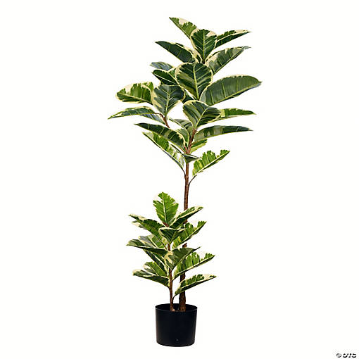 Vickerman 50" Artificial Potted Dieffenbachia Tree