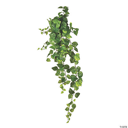 Vickerman 51" Pothos Hanging Bush