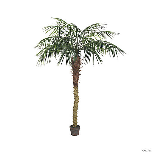 Vickerman 6' Artificial Potted Pheonix Palm Tree