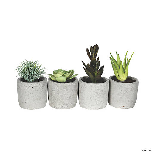 Vickerman 6" Assorted Potted Succulents - 4/pk