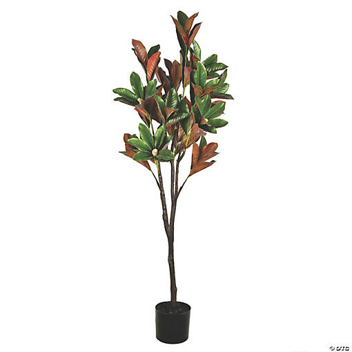 Vickerman 6' Magnolia Tree in Pot