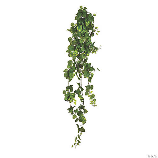Vickerman 6' Pothos Hanging Bush