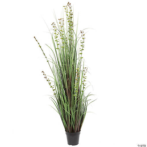 Vickerman 60" Artificial Potted Green Grass and Eucalyptus