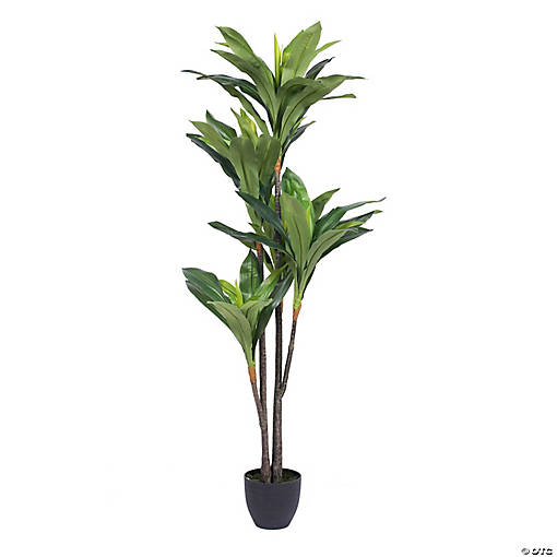 Vickerman 60" Artificial Real Touch Dracaena