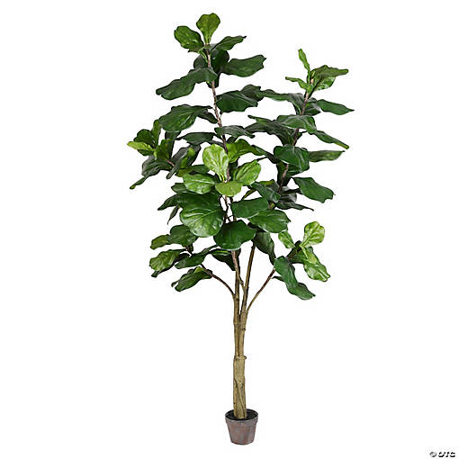 Vickerman 7' Artificial Potted Fiddle Tree
