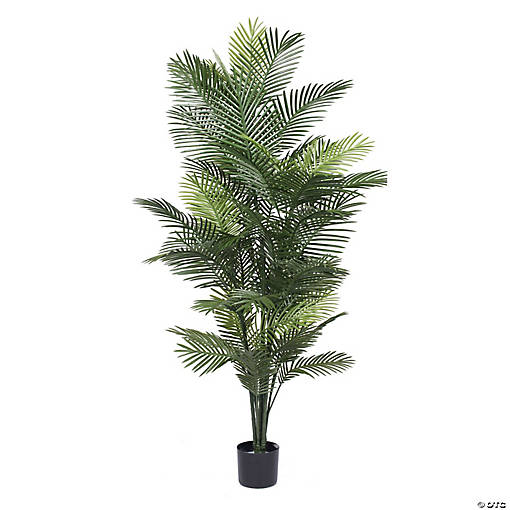 Vickerman 72" Artificial Robellini Palm Tree