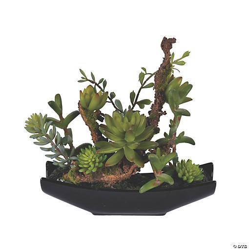 Vickerman 8" Green Mixed Succulent in Ceramic Pot