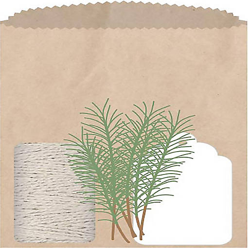 We R SUDS Gifting Kit