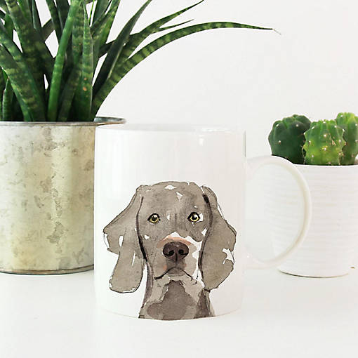 Weimaraner Up Close Ceramic Mug