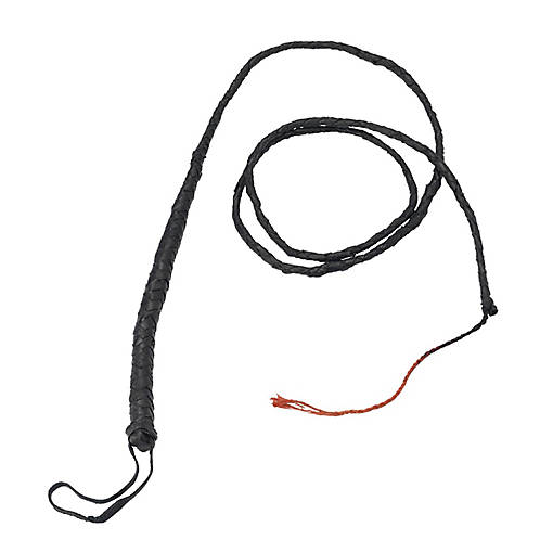 Whip Child Costume