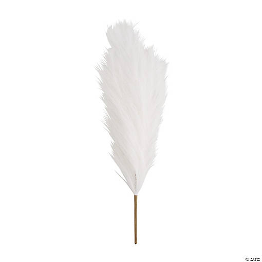 White Pampas Grass &amp;#8211; 6 Pc.