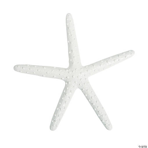 White Starfish - 12 Pc.