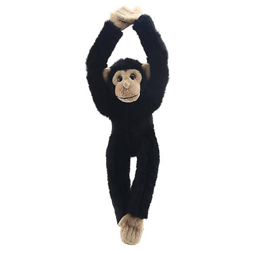 Wilberry Canopy Climbers: Chimp