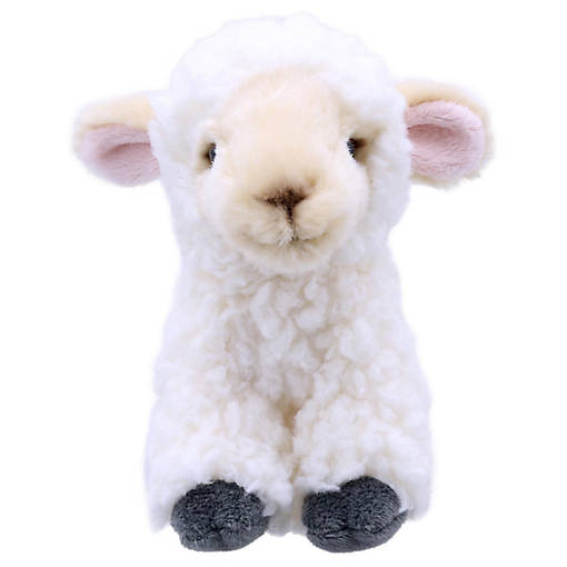 Wilberry Minis: Lamb