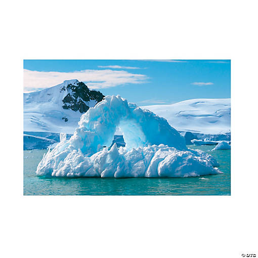 Wild Encounters Arctic Backdrop - 3 Pc.