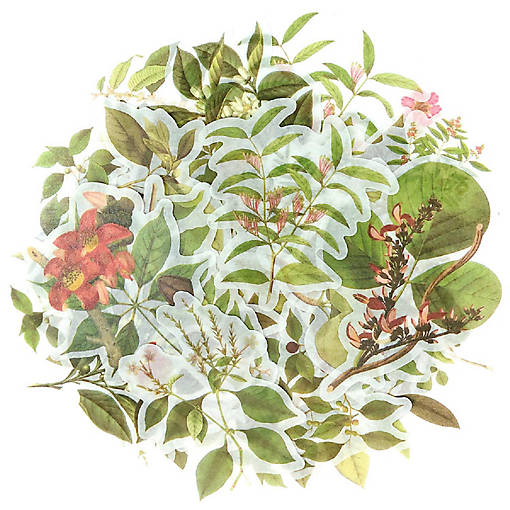 Wrapables Decorative Scrapbooking Washi Stickers (60 pcs), Greenery