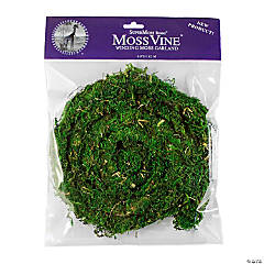 6ft. Decorative Moss Vine - 1 Pc.