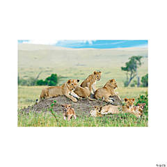 African Safari VBS Lion Backdrop