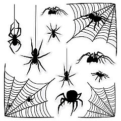 Beistle - Spider &amp; Spider Web Silhouette Clings - 12 Pack