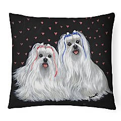 https://s7.orientaltrading.com/is/image/OrientalTrading/SEARCH_BROWSE/carolines-treasures-valentines-day-maltese-sweethearts-canvas-fabric-decorative-pillow-12-x-16-dogs~14216704$NOWA$