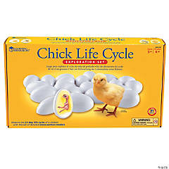 Chick Life Cycle Exploration Set - 21 Pc.