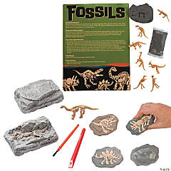 Fossil Kit for 12