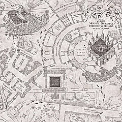 Harry Potter Map Peel & Stick Wallpaper