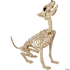 Howl At The Moon Wolf Skeleton Decoration