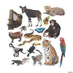 Jumbo Realistic Sea Life Cutouts - 13 Pc.