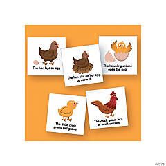 Magnetic Life Cycles - Chicken - 5 Pc.