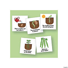 Magnetic Life Cycles - Plant - 5 Pc.