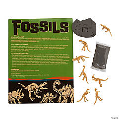 Make Your Own Fossil Craft Kit - Makes 12