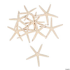 Natural Bleached Finger Starfish - 12 Pc.