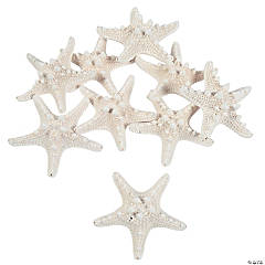 Natural Bleached Philippine Starfish - 12 Pc.