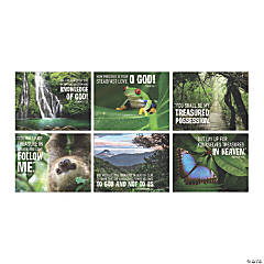 Rainforest VBS Poster Set - 6 Pc.