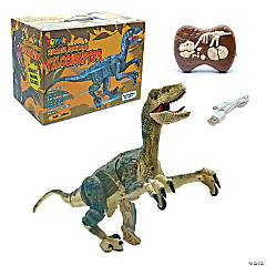 RC Dinosaur Velociraptor Toy with Realistic Walking and Sound Effects  Brown