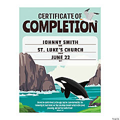 Rocky Beach VBS Certificates of Completion - 25 Pc.